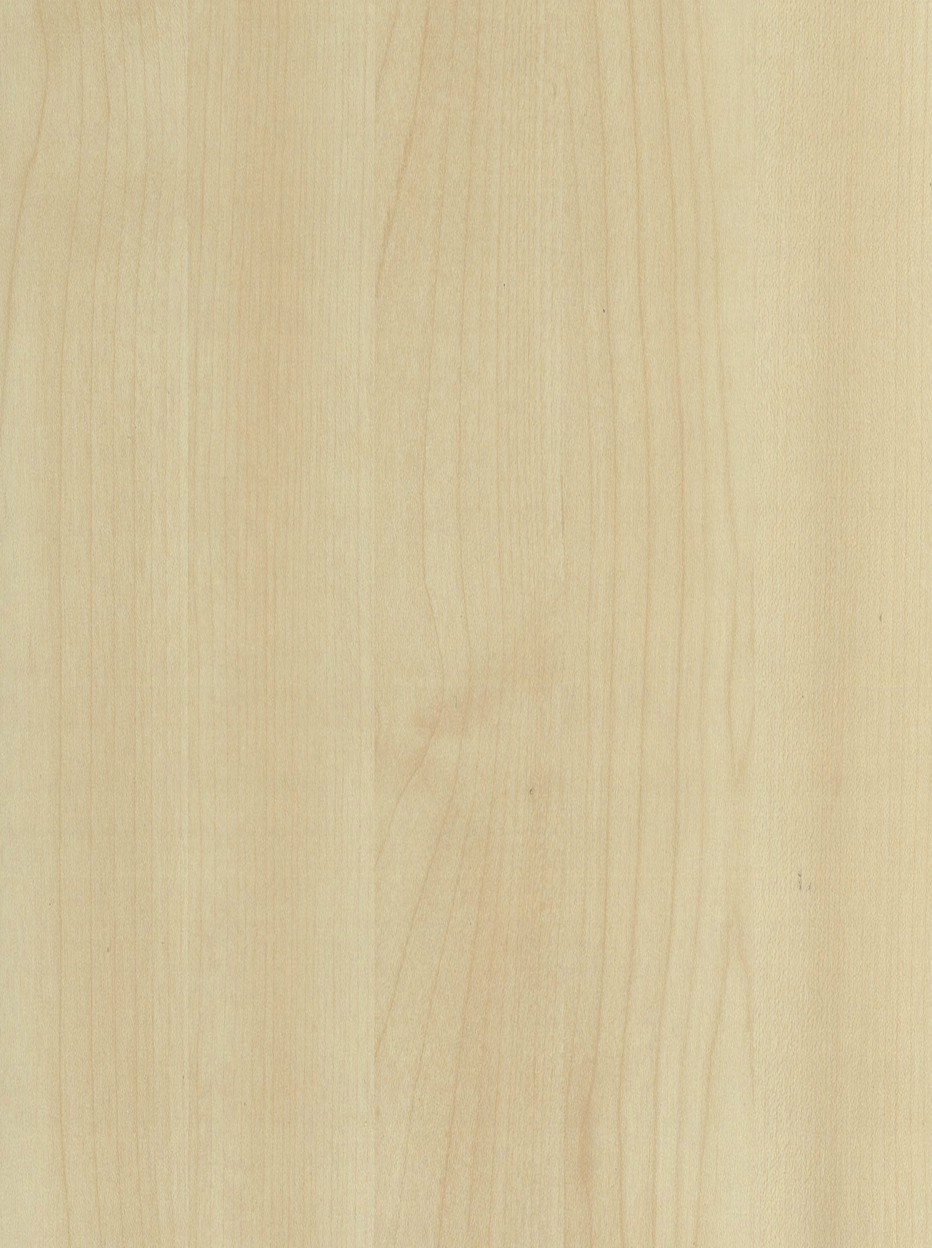 maple-mm325jpg